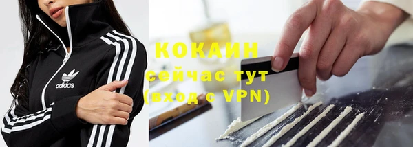 прущие грибы Богданович
