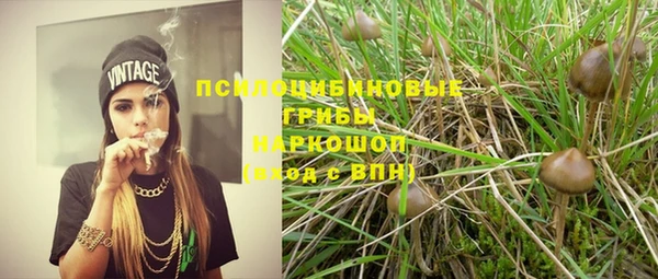 меф Бородино