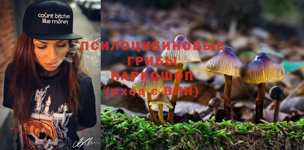 меф Бородино