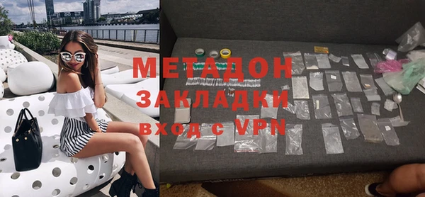 прущие грибы Богданович
