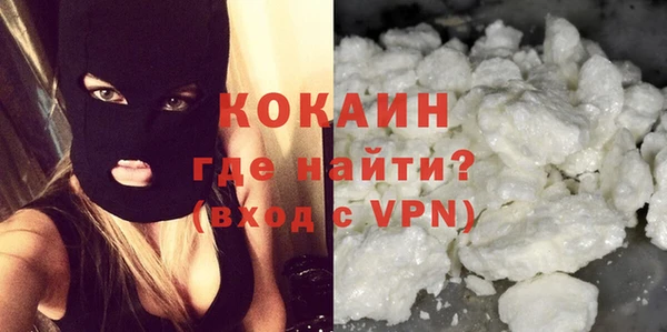 шишки Бронницы