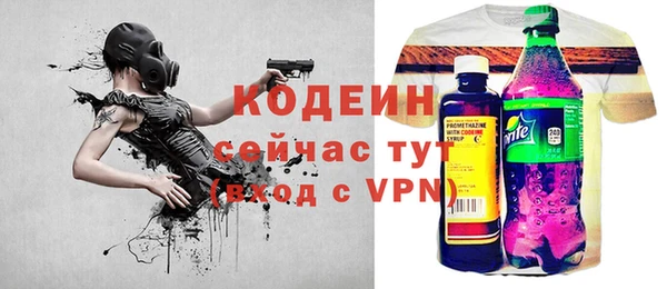 твердый Богородск