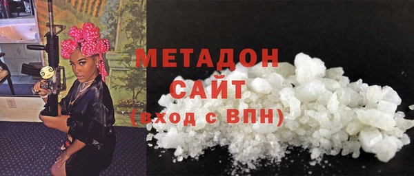 прущие грибы Богданович