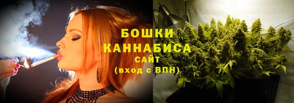 шишки Бронницы