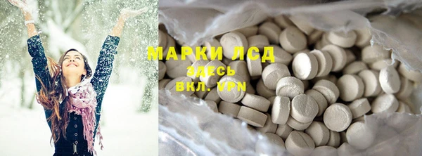 прущие грибы Богданович
