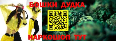 дмт Бийск